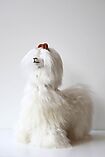 Alpaca Soft Toy 23 cm - Raùl