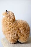 Alpaca Soft Toy 33 cm - Carmen