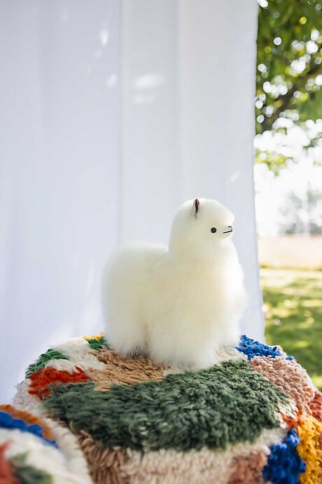 Alpaca Soft Toy 23 cm - Frida