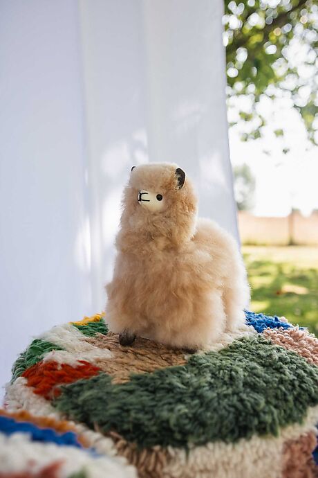 Alpaka Kuscheltier 23 cm - Carlos