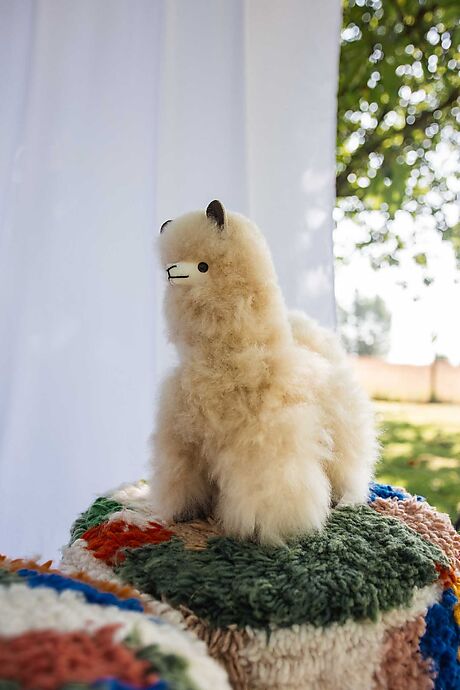 Alpaca Soft Toy 33 cm - Carmen