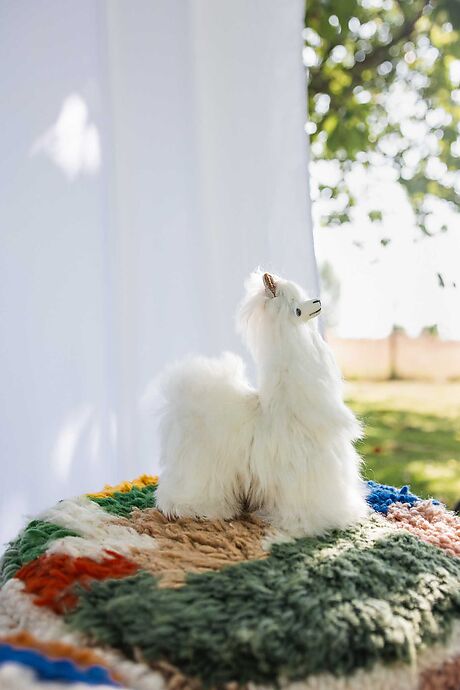Alpaca Soft Toy 23 cm - Raùl