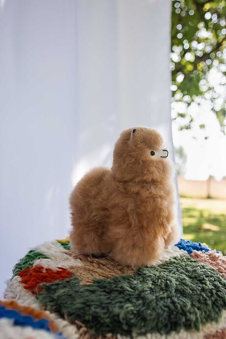 Alpaka Kuscheltier 23 cm - Guillermo